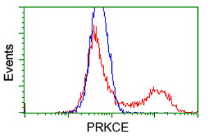 PRKCE / PKC-Epsilon Antibody - HEK293T cells transfected with either overexpress plasmid (Red) or empty vector control plasmid (Blue) were immunostained by anti-PRKCE antibody, and then analyzed by flow cytometry.