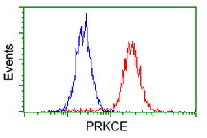 PRKCE / PKC-Epsilon Antibody - Flow cytometry of HeLa cells, using anti-PRKCE antibody (Red), compared to a nonspecific negative control antibody (Blue).