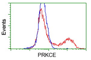 PRKCE / PKC-Epsilon Antibody - HEK293T cells transfected with either overexpress plasmid (Red) or empty vector control plasmid (Blue) were immunostained by anti-PRKCE antibody, and then analyzed by flow cytometry.