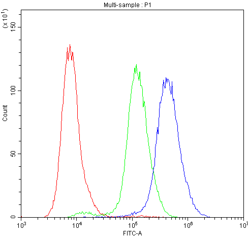 PRKCH / PKC-Eta Antibody - Flow Cytometry analysis of A431 cells using anti-PKC-eta antibody. Overlay histogram showing A431 cells stained with anti-PKC-eta antibody (Blue line). The cells were blocked with 10% normal goat serum. And then incubated with rabbit anti-PKC-eta Antibody (1µg/10E6 cells) for 30 min at 20°C. DyLight®488 conjugated goat anti-rabbit IgG (5-10µg/10E6 cells) was used as secondary antibody for 30 minutes at 20°C. Isotype control antibody (Green line) was rabbit IgG (1µg/10E6 cells) used under the same conditions. Unlabelled sample (Red line) was also used as a control.