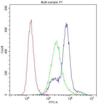 PRKCH / PKC-Eta Antibody - Flow Cytometry analysis of K562 cells using anti-PKC-eta antibody. Overlay histogram showing K562 cells stained with anti-PKC-eta antibody (Blue line). The cells were blocked with 10% normal goat serum. And then incubated with rabbit anti-PKC-eta Antibody (1µg/10E6 cells) for 30 min at 20°C. DyLight®488 conjugated goat anti-rabbit IgG (5-10µg/10E6 cells) was used as secondary antibody for 30 minutes at 20°C. Isotype control antibody (Green line) was rabbit IgG (1µg/10E6 cells) used under the same conditions. Unlabelled sample (Red line) was also used as a control.