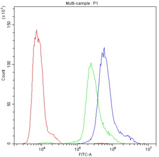 PRKCH / PKC-Eta Antibody - Flow Cytometry analysis of MCF-7 cells using anti-PKC-eta antibody. Overlay histogram showing MCF-7 cells stained with anti-PKC-eta antibody (Blue line). The cells were blocked with 10% normal goat serum. And then incubated with rabbit anti-PKC-eta Antibody (1µg/10E6 cells) for 30 min at 20°C. DyLight®488 conjugated goat anti-rabbit IgG (5-10µg/10E6 cells) was used as secondary antibody for 30 minutes at 20°C. Isotype control antibody (Green line) was rabbit IgG (1µg/10E6 cells) used under the same conditions. Unlabelled sample (Red line) was also used as a control.