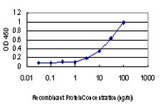 PRKCI / PKC Iota Antibody - Detection limit for recombinant GST tagged PRKCI is approximately 3 ng/ml as a capture antibody.