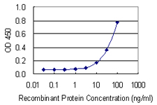 PRKCSH Antibody - Detection limit for recombinant GST tagged PRKCSH is 3 ng/ml as a capture antibody.