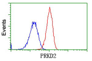 PRKD2 / PKD2 Antibody - Flow cytometric Analysis of Hela cells, using anti-PRKD2 antibody, (Red), compared to a nonspecific negative control antibody, (Blue).