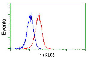 PRKD2 / PKD2 Antibody - Flow cytometric Analysis of Jurkat cells, using anti-PRKD2 antibody, (Red), compared to a nonspecific negative control antibody, (Blue).