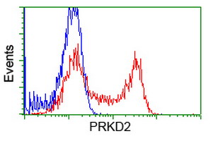 PRKD2 / PKD2 Antibody - HEK293T cells transfected with either overexpress plasmid (Red) or empty vector control plasmid (Blue) were immunostained by anti-PRKD2 antibody, and then analyzed by flow cytometry.