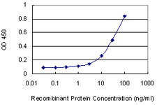 PRKX Antibody - Detection limit for recombinant GST tagged PRKX is 1 ng/ml as a capture antibody.