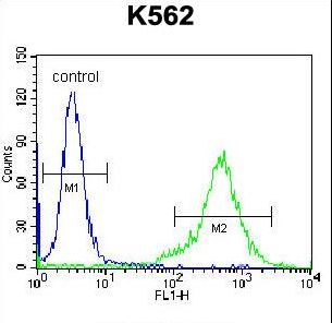 PRL / Prolactin Antibody - PRL Antibody flow cytometry of K562 cells (right histogram) compared to a negative control cell (left histogram). FITC-conjugated donkey-anti-rabbit secondary antibodies were used for the analysis.