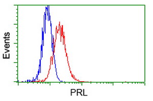 PRL / Prolactin Antibody - Flow cytometry of HeLa cells, using anti-PRL antibody, (Red) compared to a nonspecific negative control antibody (Blue).