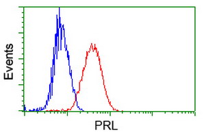 PRL / Prolactin Antibody - Flow cytometry of Jurkat cells, using anti-PRL antibody, (Red) compared to a nonspecific negative control antibody (Blue).