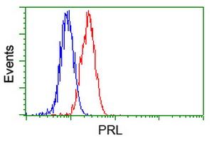 PRL / Prolactin Antibody - Flow cytometry of HeLa cells, using anti-PRL antibody (Red), compared to a nonspecific negative control antibody (Blue).