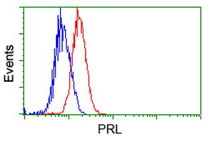 PRL / Prolactin Antibody - Flow cytometry of Jurkat cells, using anti-PRL antibody (Red), compared to a nonspecific negative control antibody (Blue).