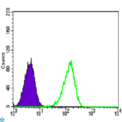 PRMT4 / CARM1 Antibody - Flow cytometric (FCM) analysis of Lovo cells using PRMT4 Monoclonal Antibody (green) and negative control (purple).