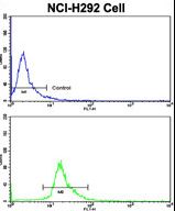 PROCR / EPCR Antibody - Flow cytometric of NCI-H292 cells using CD201 Antibody (bottom histogram) compared to a negative control cell (top histogram). FITC-conjugated goat-anti-rabbit secondary antibodies were used for the analysis.