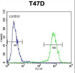 Proenkephalin / PENK Antibody - PENK Antibody flow cytometry of T47D cells (right histogram) compared to a negative control cell (left histogram). FITC-conjugated goat-anti-rabbit secondary antibodies were used for the analysis.