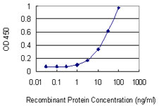 Proenkephalin / PENK Antibody - Detection limit for recombinant GST tagged PENK is 1 ng/ml as a capture antibody.