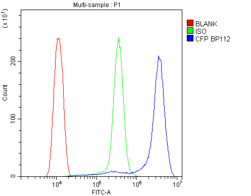 Properdin / CFP Antibody - Flow Cytometry analysis of THP-1 cells using anti-CFP antibody. Overlay histogram showing THP-1 cells stained with anti-CFP antibody (Blue line). The cells were blocked with 10% normal goat serum. And then incubated with rabbit anti-CFP Antibody (1µg/10E6 cells) for 30 min at 20°C. DyLight®488 conjugated goat anti-rabbit IgG (5-10µg/10E6 cells) was used as secondary antibody for 30 minutes at 20°C. Isotype control antibody (Green line) was rabbit IgG (1µg/10E6 cells) used under the same conditions. Unlabelled sample (Red line) was also used as a control.
