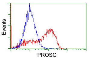 PROSC Antibody - HEK293T cells transfected with either overexpress plasmid (Red) or empty vector control plasmid (Blue) were immunostained by anti-PROSC antibody, and then analyzed by flow cytometry.
