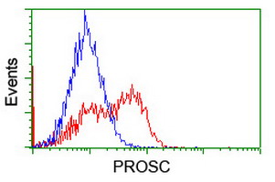 PROSC Antibody - HEK293T cells transfected with either overexpress plasmid (Red) or empty vector control plasmid (Blue) were immunostained by anti-PROSC antibody, and then analyzed by flow cytometry.