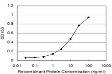 PROX1 Antibody - Detection limit for recombinant GST tagged PROX1 is approximately 1 ng/ml as a capture antibody.