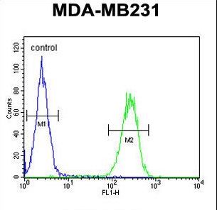 PRSS3 / Trypsin 3 Antibody - PRSS3 Antibody flow cytometry of MDA-MB231 cells (right histogram) compared to a negative control cell (left histogram). FITC-conjugated goat-anti-rabbit secondary antibodies were used for the analysis.