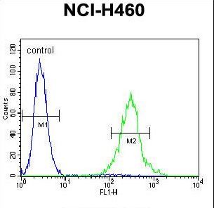 PRSS55 Antibody - UNQ9391 Antibody flow cytometry of NCI-H460 cells (right histogram) compared to a negative control cell (left histogram). FITC-conjugated goat-anti-rabbit secondary antibodies were used for the analysis.