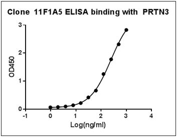 PRTN3 / Myeloblastin Antibody - ELISA binding of Human PRTN3 Antibody (11F1A5) with Human PRTN3 recombinant protein. Coating antigen: PRTN3, 1 µg/ml. PRTN3 antibody dilutions start from 1000 ng/ml, EC50= 9.667 ng/ml.