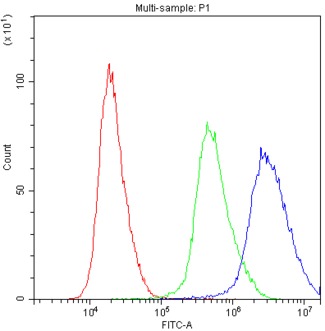 PRX / Periaxin Antibody - Flow Cytometry analysis of A549 cells using anti-PRX antibody. Overlay histogram showing A549 cells stained with anti-PRX antibody (Blue line). The cells were blocked with 10% normal goat serum. And then incubated with rabbit anti-PRX Antibody (1µg/10E6 cells) for 30 min at 20°C. DyLight®488 conjugated goat anti-rabbit IgG (5-10µg/10E6 cells) was used as secondary antibody for 30 minutes at 20°C. Isotype control antibody (Green line) was rabbit IgG (1µg/10E6 cells) used under the same conditions. Unlabelled sample (Red line) was also used as a control.