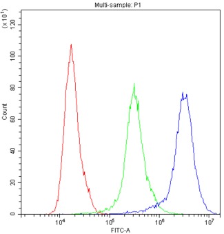 PRX / Periaxin Antibody - Flow Cytometry analysis of K562 cells using anti-PRX antibody. Overlay histogram showing K562 cells stained with anti-PRX antibody (Blue line). The cells were blocked with 10% normal goat serum. And then incubated with rabbit anti-PRX Antibody (1µg/10E6 cells) for 30 min at 20°C. DyLight®488 conjugated goat anti-rabbit IgG (5-10µg/10E6 cells) was used as secondary antibody for 30 minutes at 20°C. Isotype control antibody (Green line) was rabbit IgG (1µg/10E6 cells) used under the same conditions. Unlabelled sample (Red line) was also used as a control.