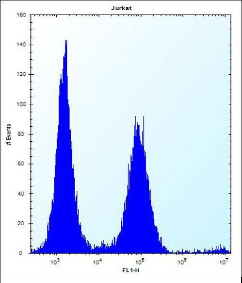 PSAPL1 Antibody - PSAPL1 Antibody flow cytometry of Jurkat cells (right histogram) compared to a negative control cell (left histogram). FITC-conjugated donkey-anti-rabbit secondary antibodies were used for the analysis.