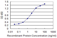 PSCA Antibody - Detection limit for recombinant GST tagged PSCA is 0.03 ng/ml as a capture antibody.
