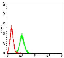PSG1 / CD66f Antibody - Flow cytometric analysis of K562 cells using PSG1 mouse mAb (green) and negative control (red).