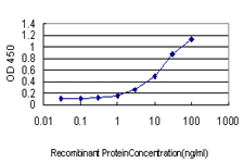 PSIP1 / LEDGF Antibody - Detection limit for recombinant GST tagged PSIP1 is approximately 1 ng/ml as a capture antibody.