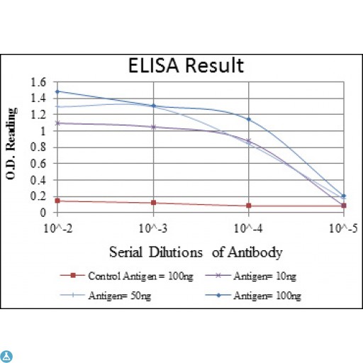PSIP1 / LEDGF Antibody - ELISA analysis of LEDGF antibody.