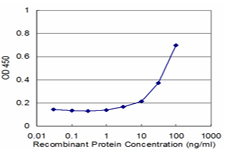 PSMA1 Antibody - Detection limit for recombinant GST tagged PSMA1 is approximately 3 ng/ml as a capture antibody.