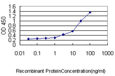 PSMA4 Antibody - Detection limit for recombinant GST tagged PSMA4 is approximately 3 ng/ml as a capture antibody.