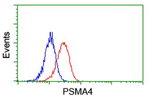 PSMA4 Antibody - Flow cytometry of Jurkat cells, using anti-PSMA4 antibody (Red), compared to a nonspecific negative control antibody (Blue).
