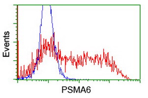 PSMA6 Antibody - HEK293T cells transfected with either overexpress plasmid (Red) or empty vector control plasmid (Blue) were immunostained by anti-PSMA6 antibody, and then analyzed by flow cytometry.