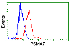 PSMA7 Antibody - Flow cytometry of Jurkat cells, using anti-PSMA7 antibody, (Red) compared to a nonspecific negative control antibody (Blue).