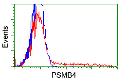 PSMB4 Antibody - HEK293T cells transfected with either overexpress plasmid (Red) or empty vector control plasmid (Blue) were immunostained by anti-PSMB4 antibody, and then analyzed by flow cytometry.