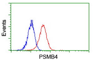 PSMB4 Antibody - Flow cytometry of Jurkat cells, using anti-PSMB4 antibody (Red), compared to a nonspecific negative control antibody (Blue).