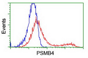 PSMB4 Antibody - HEK293T cells transfected with either overexpress plasmid (Red) or empty vector control plasmid (Blue) were immunostained by anti-PSMB4 antibody, and then analyzed by flow cytometry.