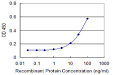 PSMB8 / LMP7 Antibody - Detection limit for recombinant GST tagged PSMB8 is approximately 1 ng/ml as a capture antibody.