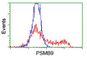 PSMB9 Antibody - HEK293T cells transfected with either overexpress plasmid (Red) or empty vector control plasmid (Blue) were immunostained by anti-PSMB9 antibody, and then analyzed by flow cytometry.