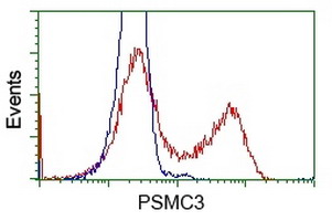 PSMC3 Antibody - HEK293T cells transfected with either overexpress plasmid (Red) or empty vector control plasmid (Blue) were immunostained by anti-PSMC3 antibody, and then analyzed by flow cytometry.