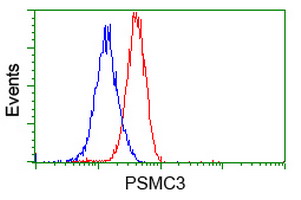 PSMC3 Antibody - Flow cytometric Analysis of Jurkat cells, using anti-PSMC3 antibody, (Red), compared to a nonspecific negative control antibody, (Blue).