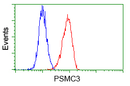 PSMC3 Antibody - Flow cytometry of HeLa cells, using anti-PSMC3 antibody, (Red) compared to a nonspecific negative control antibody (Blue).