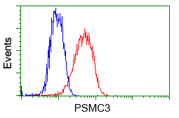 PSMC3 Antibody - Flow cytometry of Jurkat cells, using anti-PSMC3 antibody, (Red) compared to a nonspecific negative control antibody (Blue).