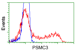 PSMC3 Antibody - HEK293T cells transfected with either pCMV6-ENTRY PSMC3 (Red) or empty vector control plasmid (Blue) were immunostained with anti-PSMC3 mouse monoclonal, and then analyzed by flow cytometry.